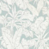 Parlour Palm 112025